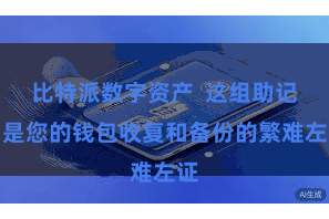 比特派数字资产 这组助记词是您的钱包收复和备份的繁难左证