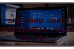 比特派私钥钱包 比特派钱包的安祥性体面前其团队的专科和时候实力上