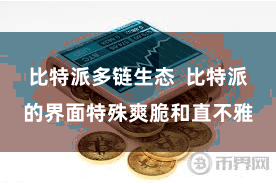 比特派多链生态  比特派的界面特殊爽脆和直不雅