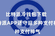 比特派冷钱包下载  比特派APP还守旧多种支付神气