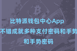 比特派钱包中心App  用户不错成就多种支付密码和手势密码